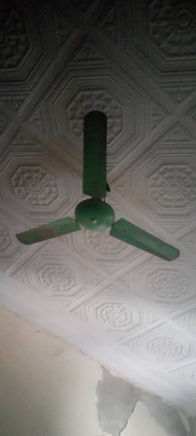 seeking fan