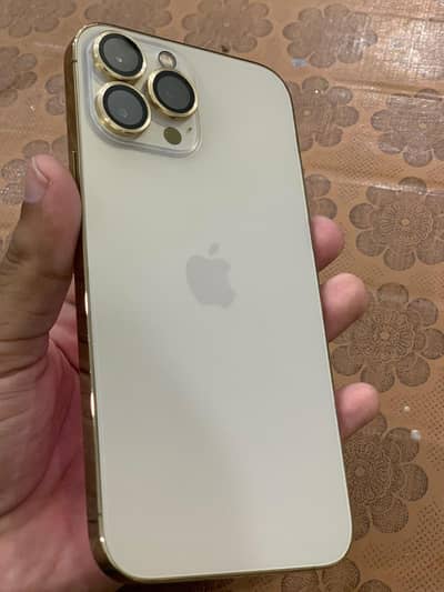 Apple iPhone 13 Pro Max
