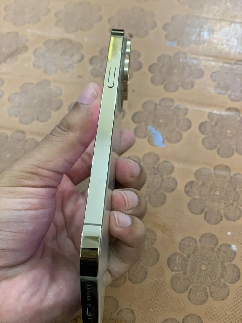 Apple iPhone 13 Pro Max 1