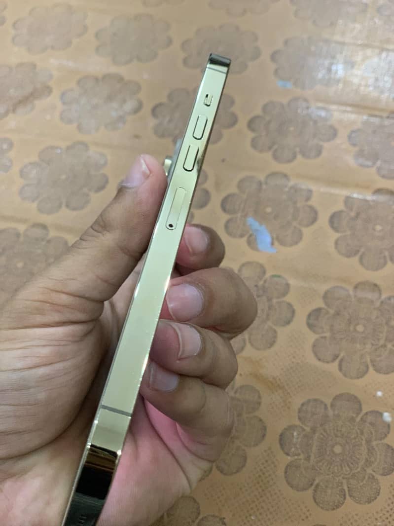 Apple iPhone 13 Pro Max 2