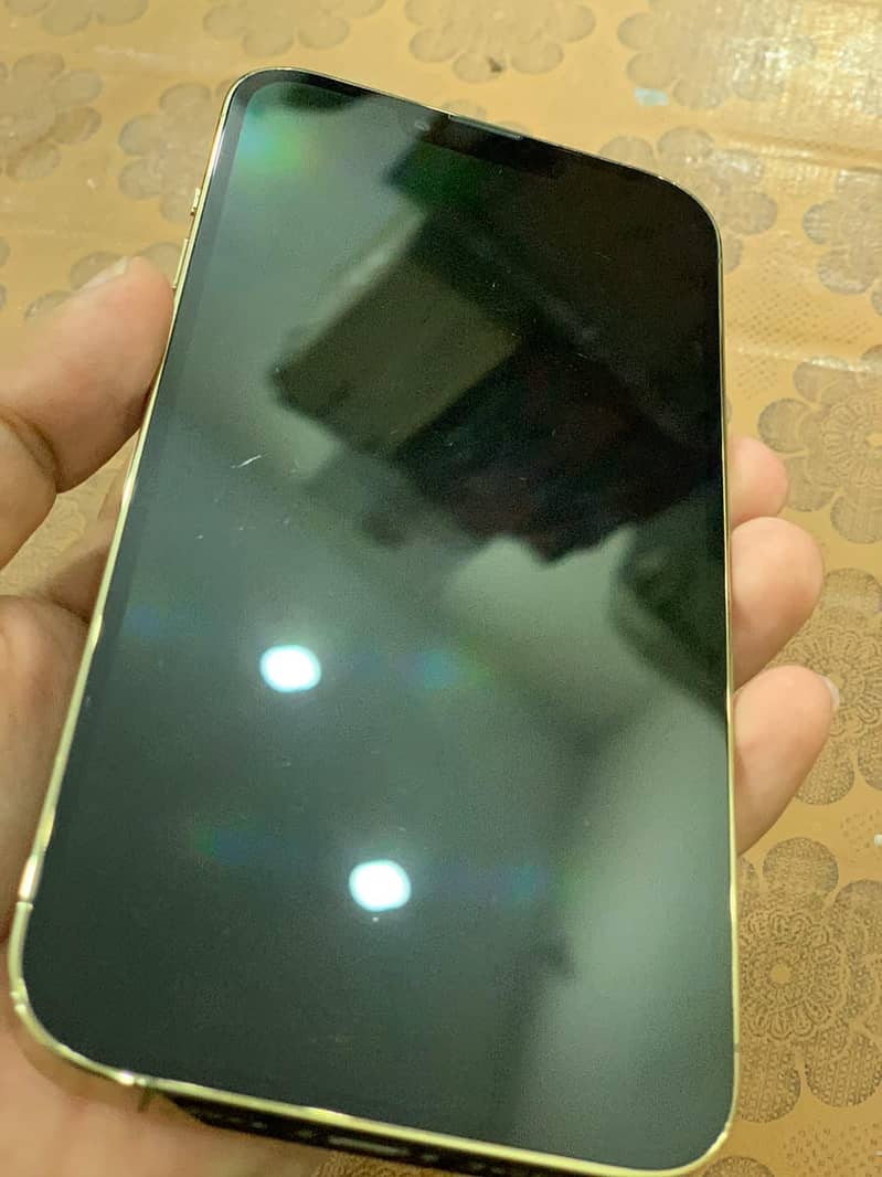Apple iPhone 13 Pro Max 3