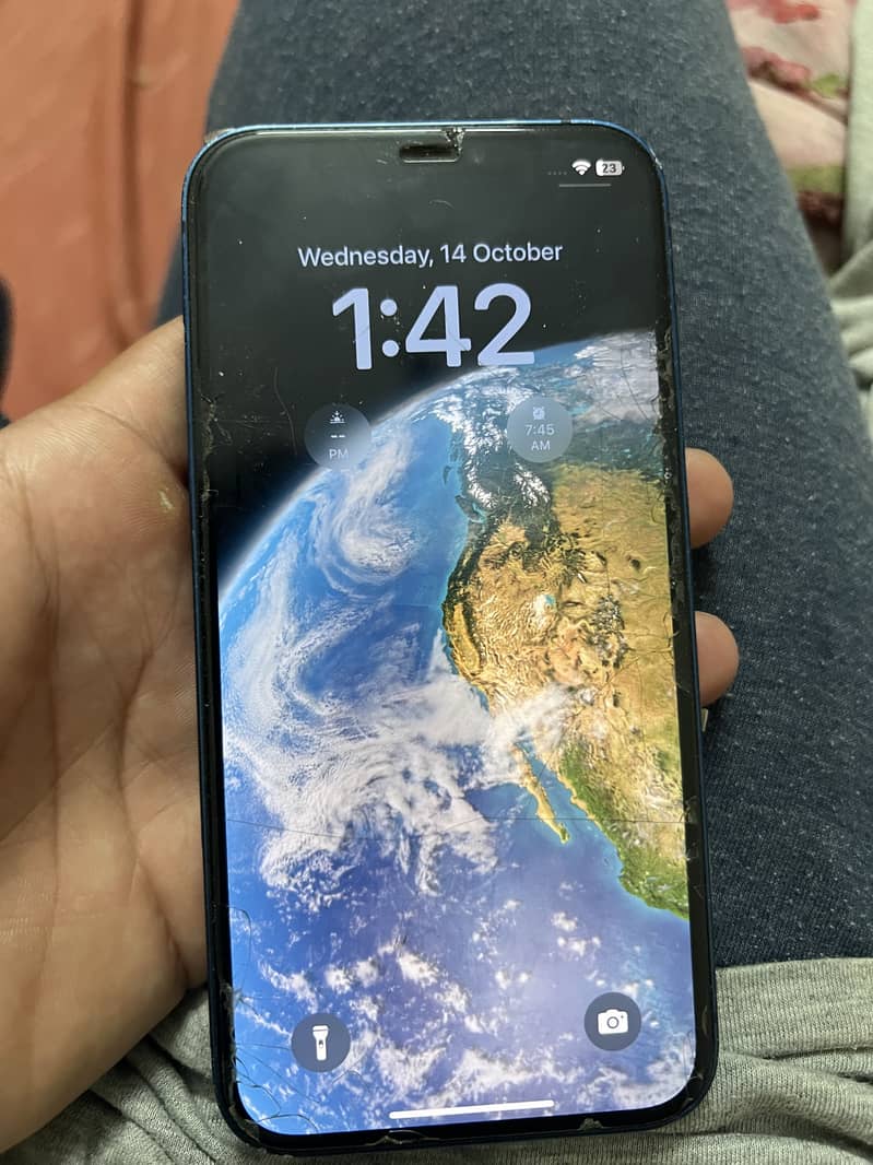 Apple iPhone 12 1