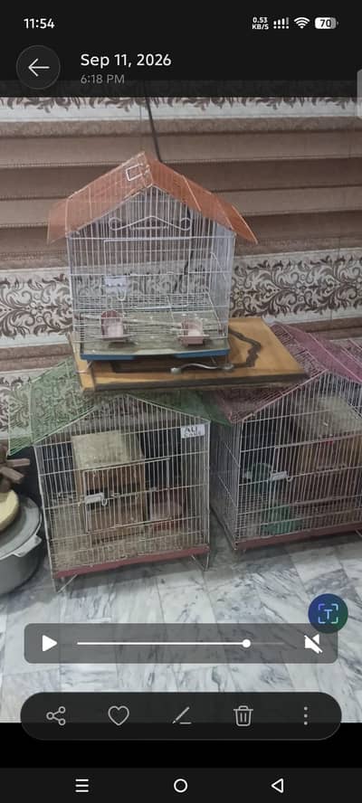 three cage