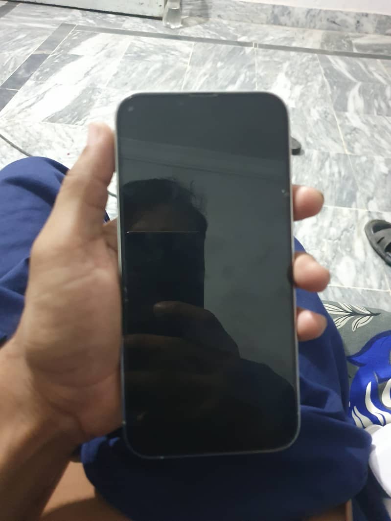 Apple iPhone 13 Pro Max 0
