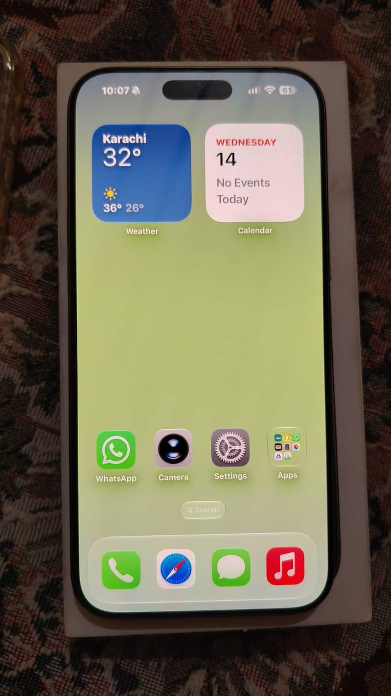 Apple iPhone 16 Pro Max 1