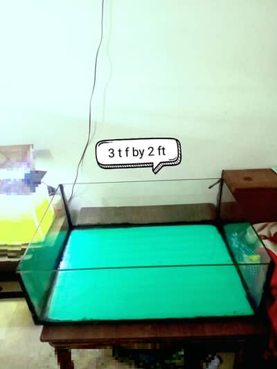 aquarium and accessories available and fishes all