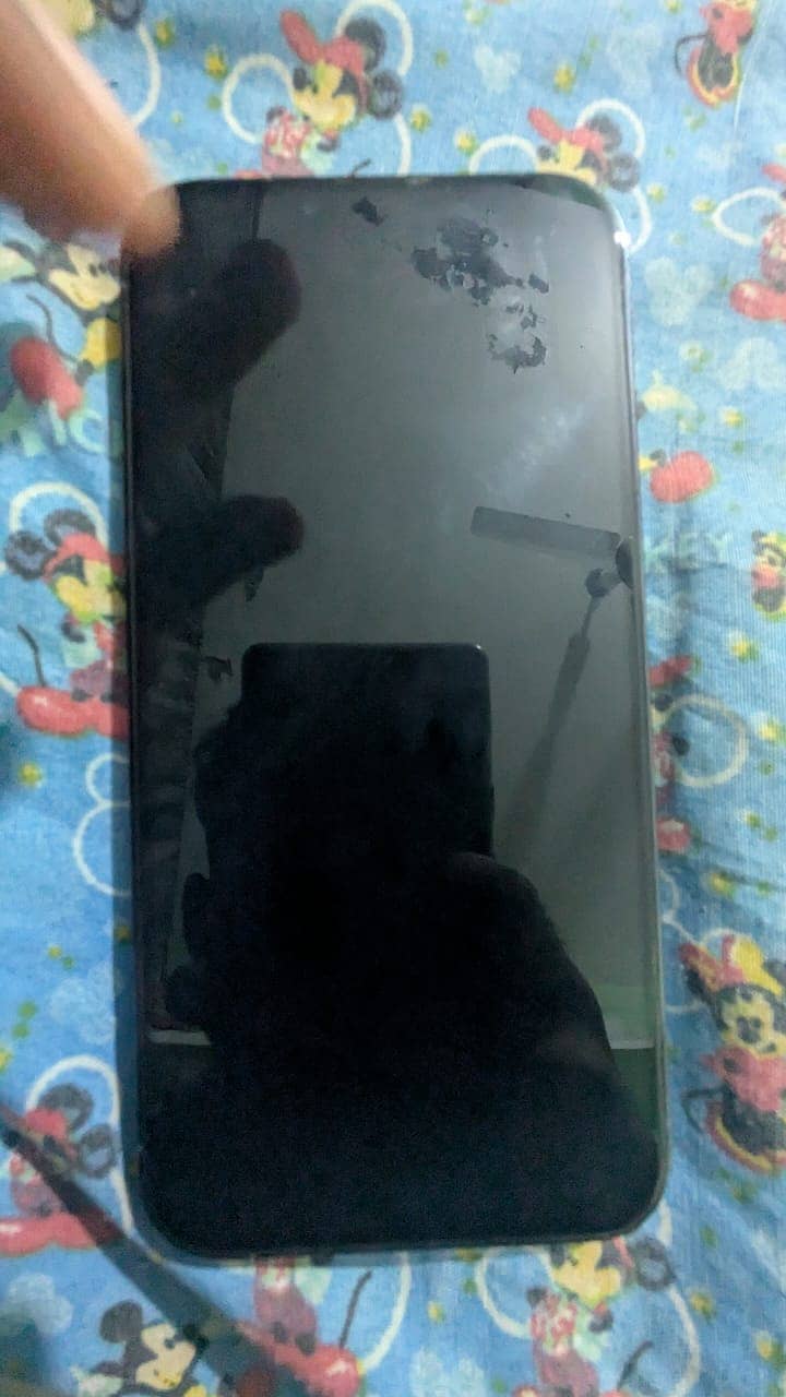 Apple iPhone 13 Pro Max 1
