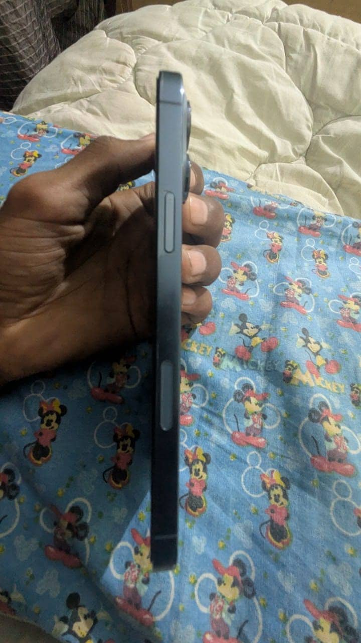 Apple iPhone 13 Pro Max 3