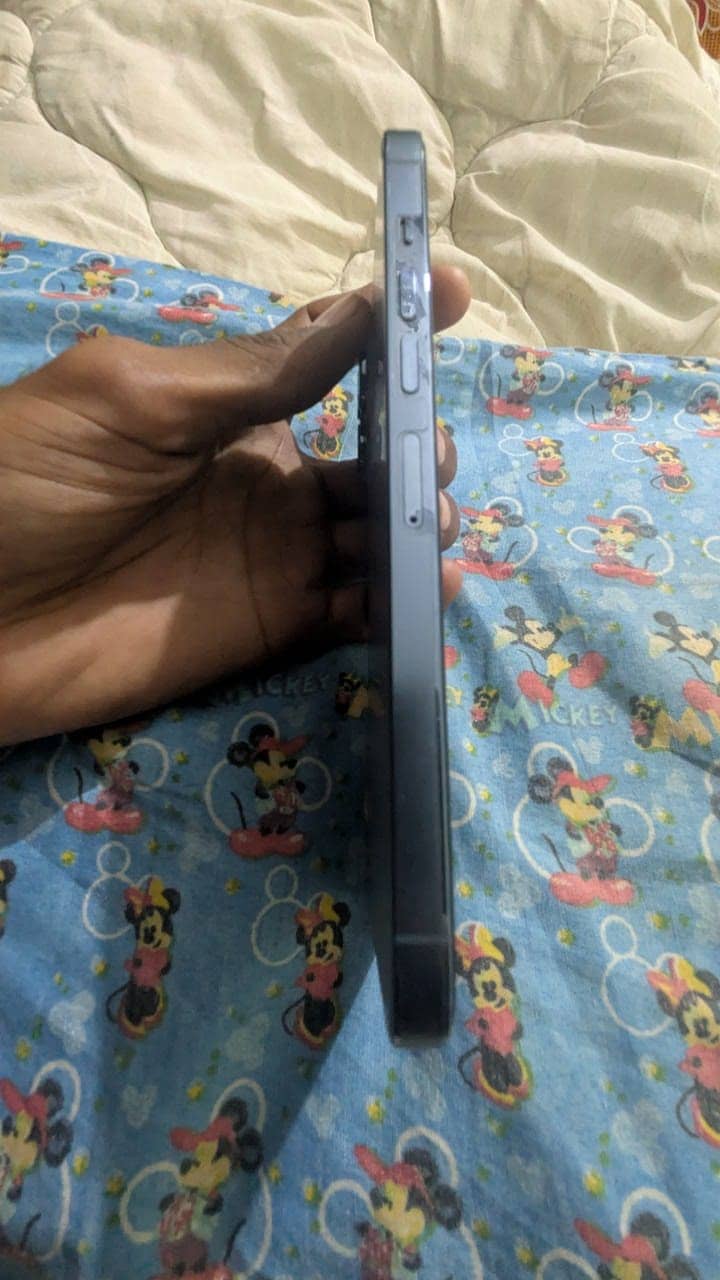 Apple iPhone 13 Pro Max 4