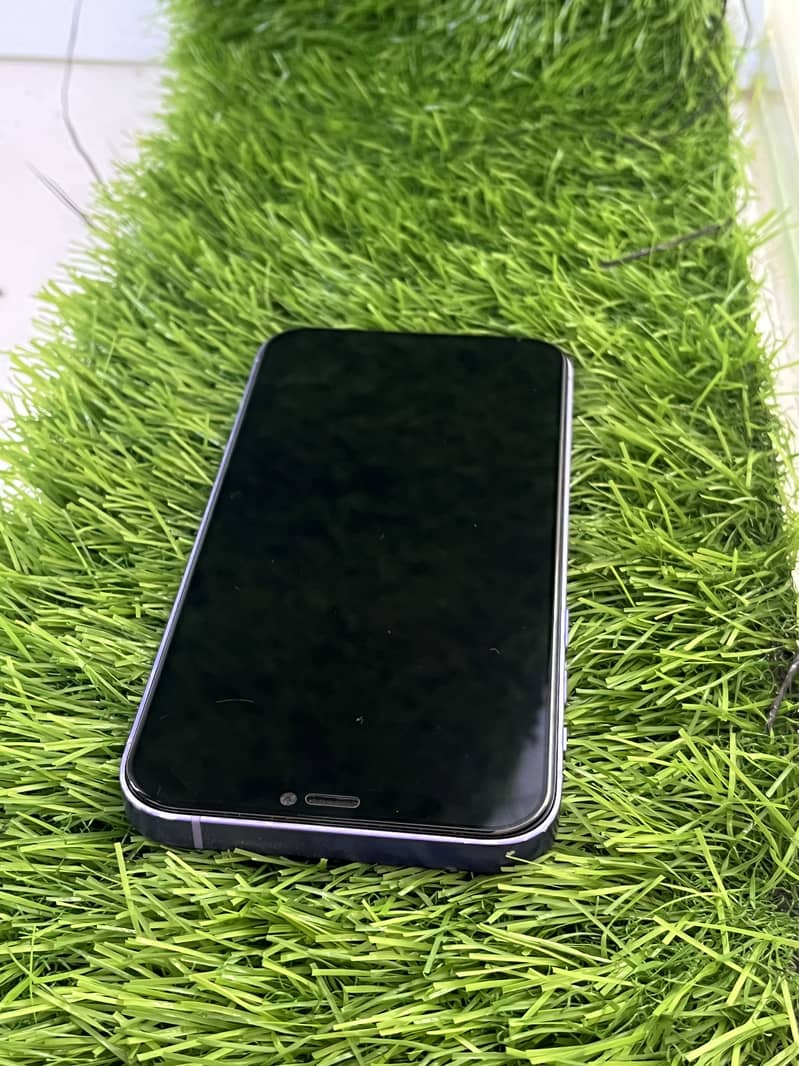 Apple iPhone 12 1