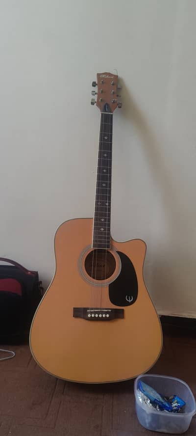 Acoustic guitar full size