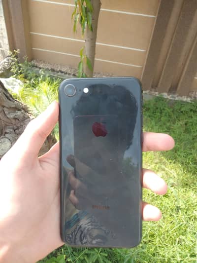 iPhone 8