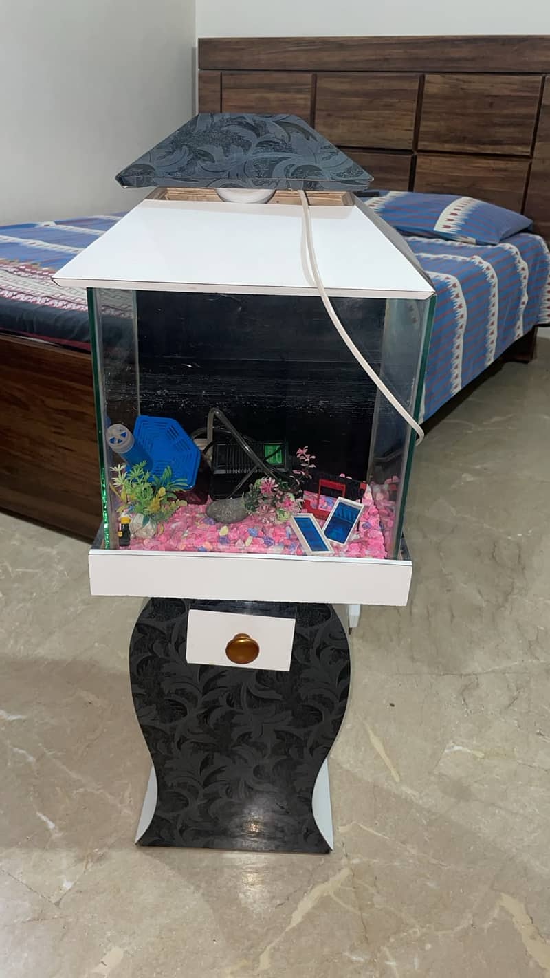 Aquarium 1