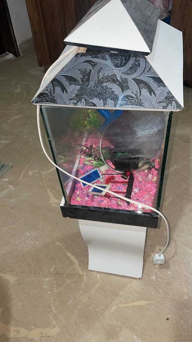 Aquarium 3