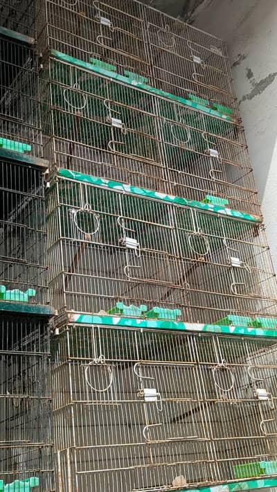 Bird Cage for Sale in Karachi, Good Condition