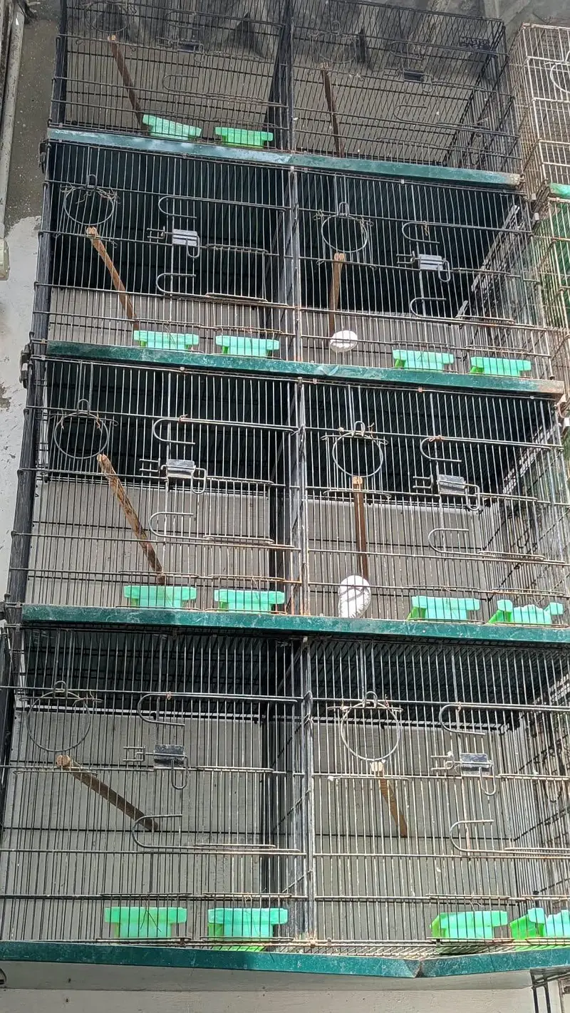 Bird Cage for Sale in Karachi, Good Condition — photo 2