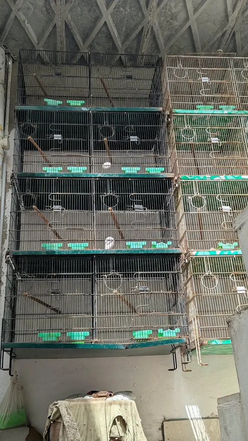 Bird Cage for Sale in Karachi, Good Condition — photo 4