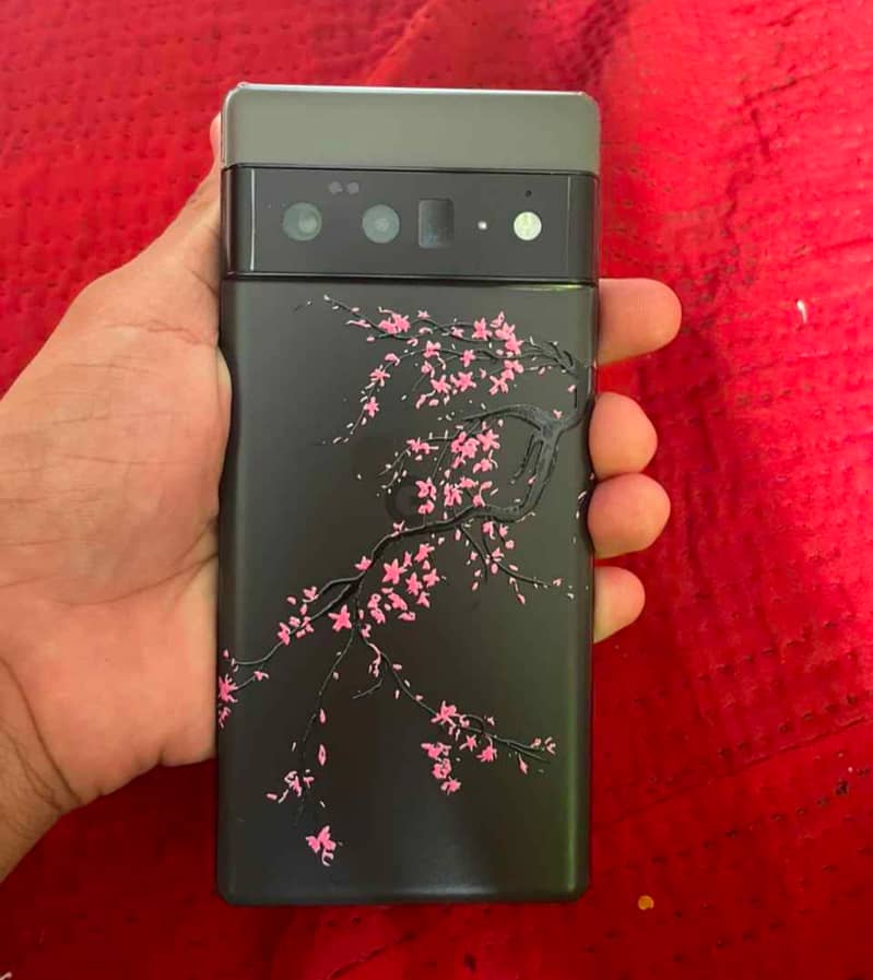 Google Pixel 6 Pro 0