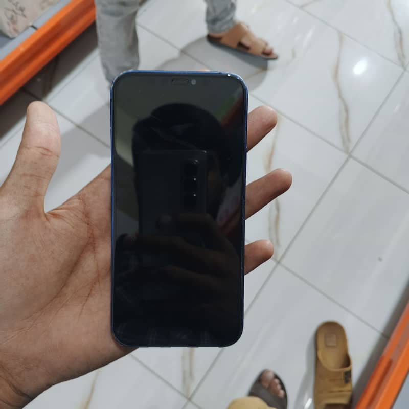 Apple iPhone 12 1