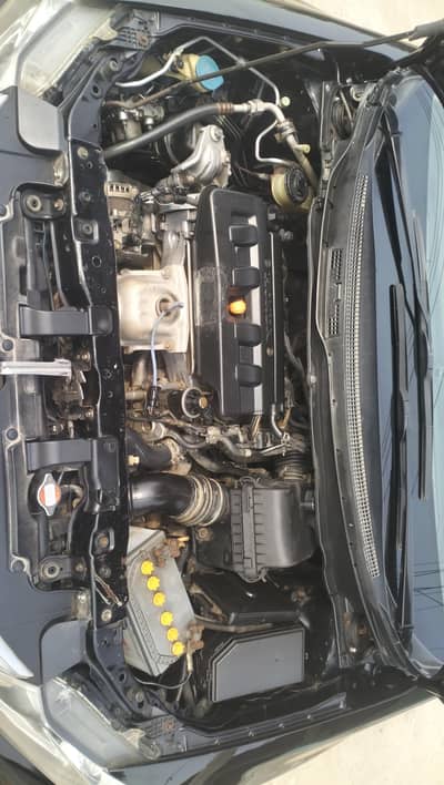Honda Civic Oriel 2013