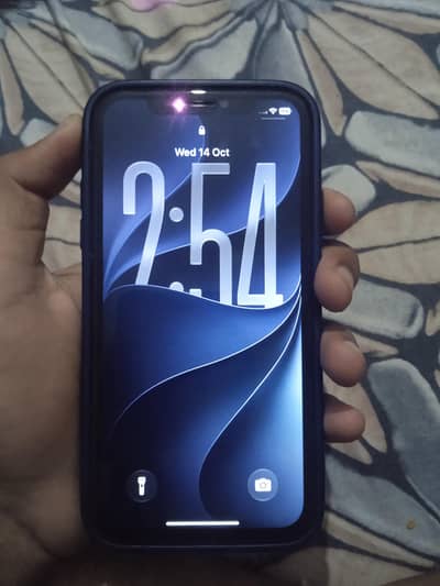 Apple iPhone 11 only back crack