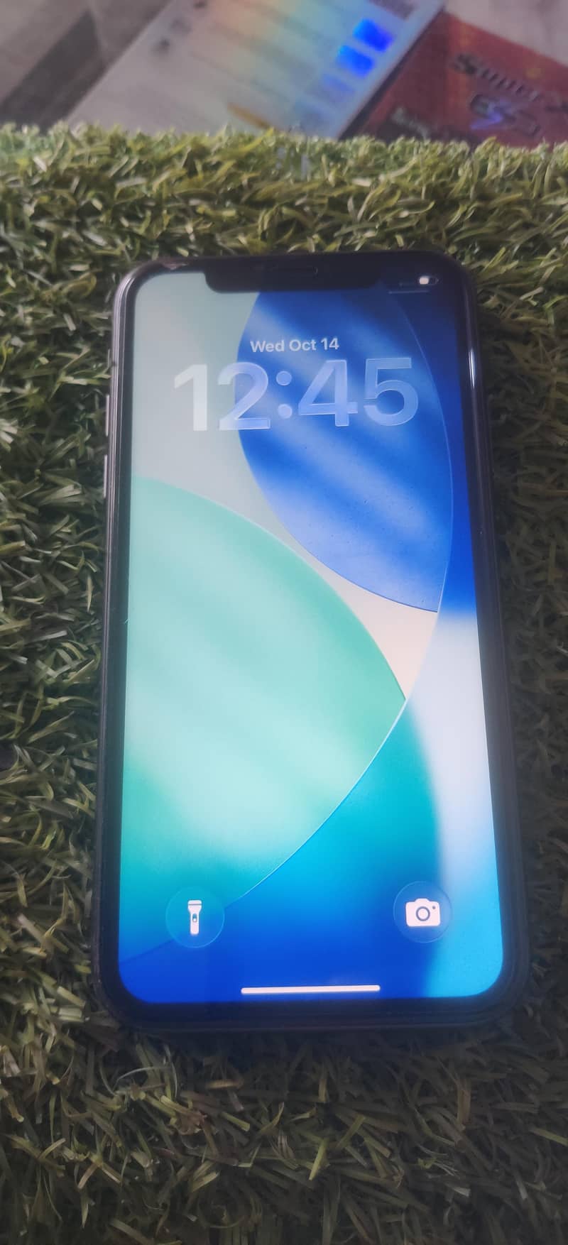 Apple iPhone 11 1