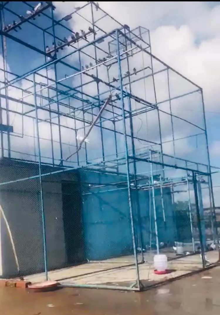 Kabutero KY leya bohat achi quality ka cage ha yah — photo 4