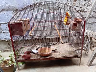 Iron Cage for sale 0332-3416177 watsapp