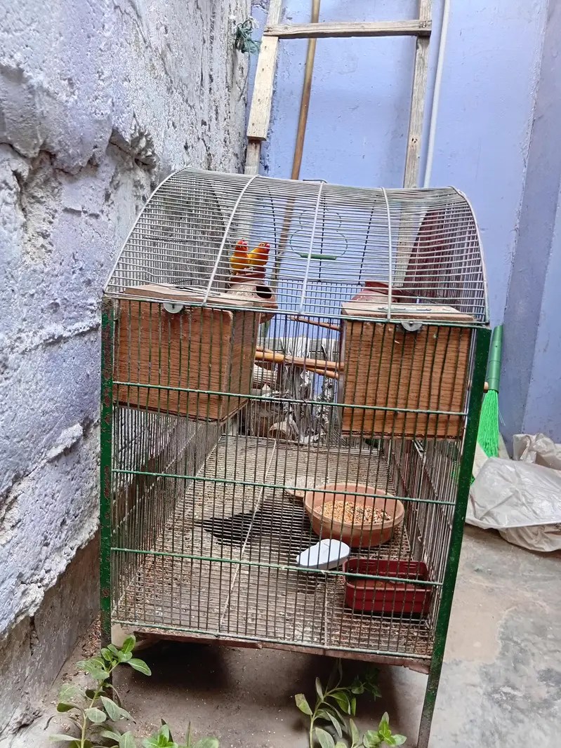 Iron Cage for sale 0332-3416177 watsapp — photo 3
