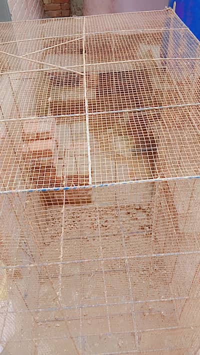 Ya cage urgent sale Karna hai
