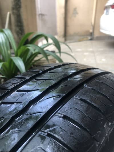 Pirelli Cinturato P1