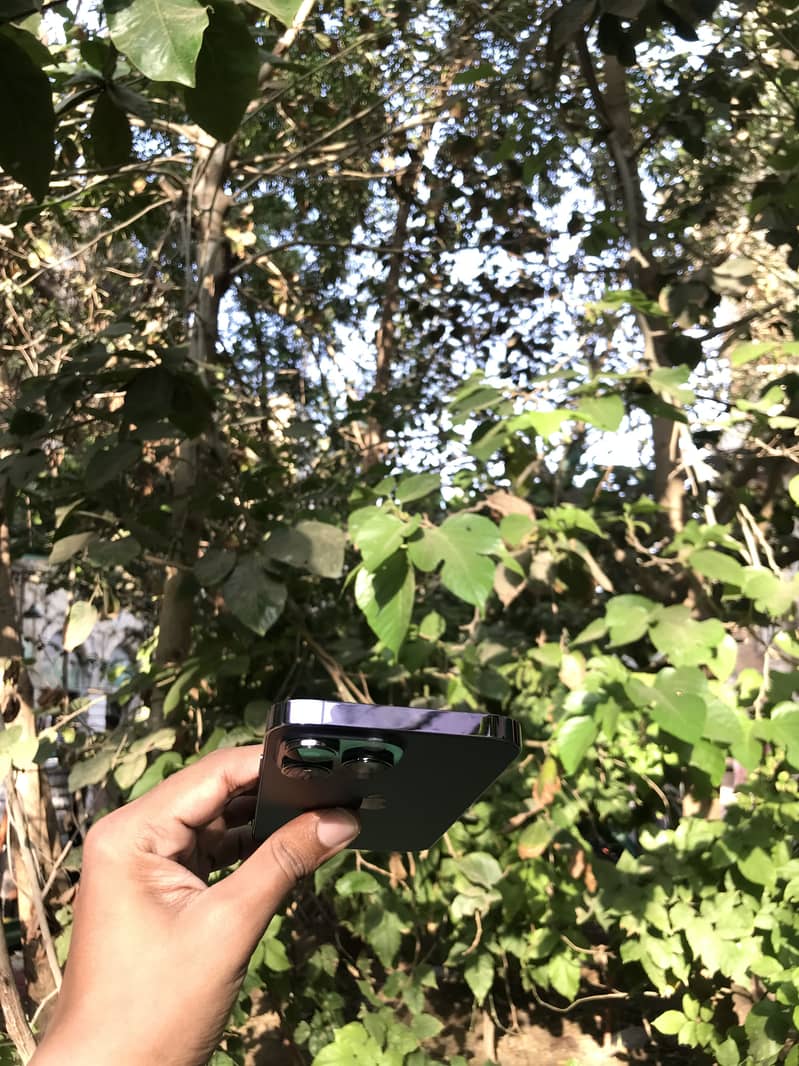 Apple iPhone 14 Pro Max 2