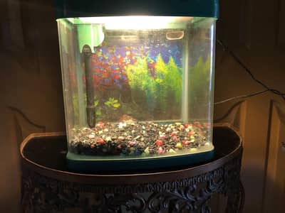 *USED FISH AQUARIUM LOOKS GREAT AS NEW*