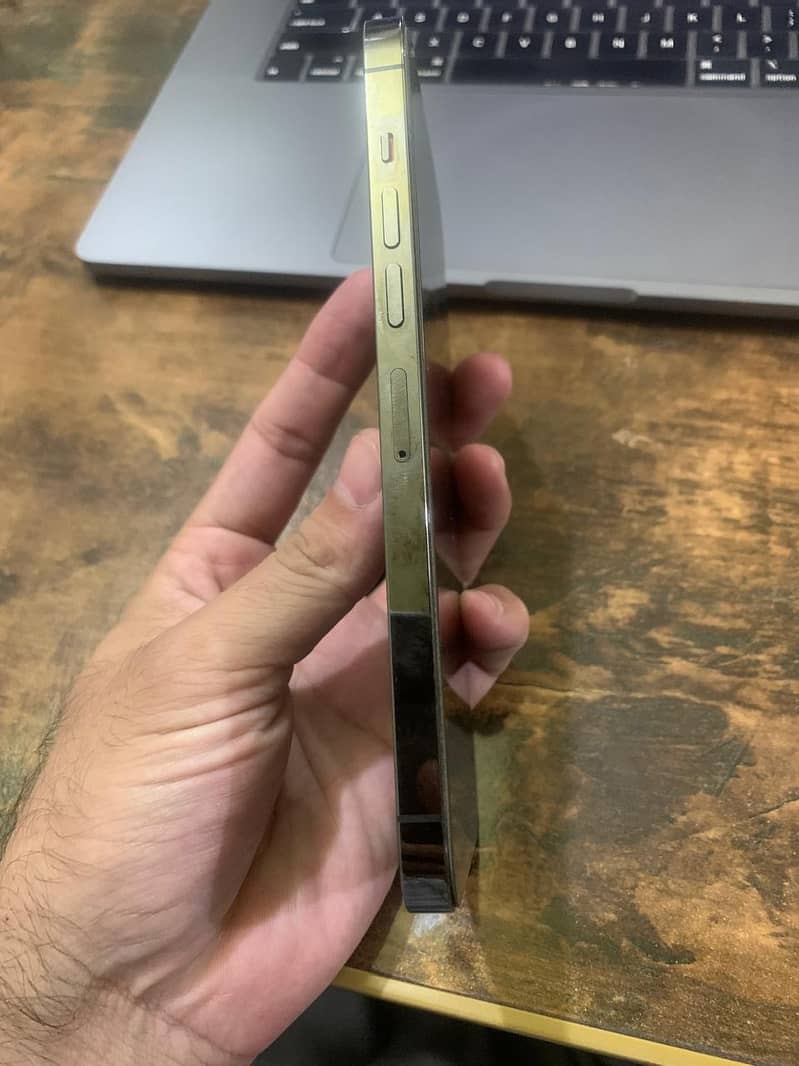 Apple iPhone 13 Pro Max 4