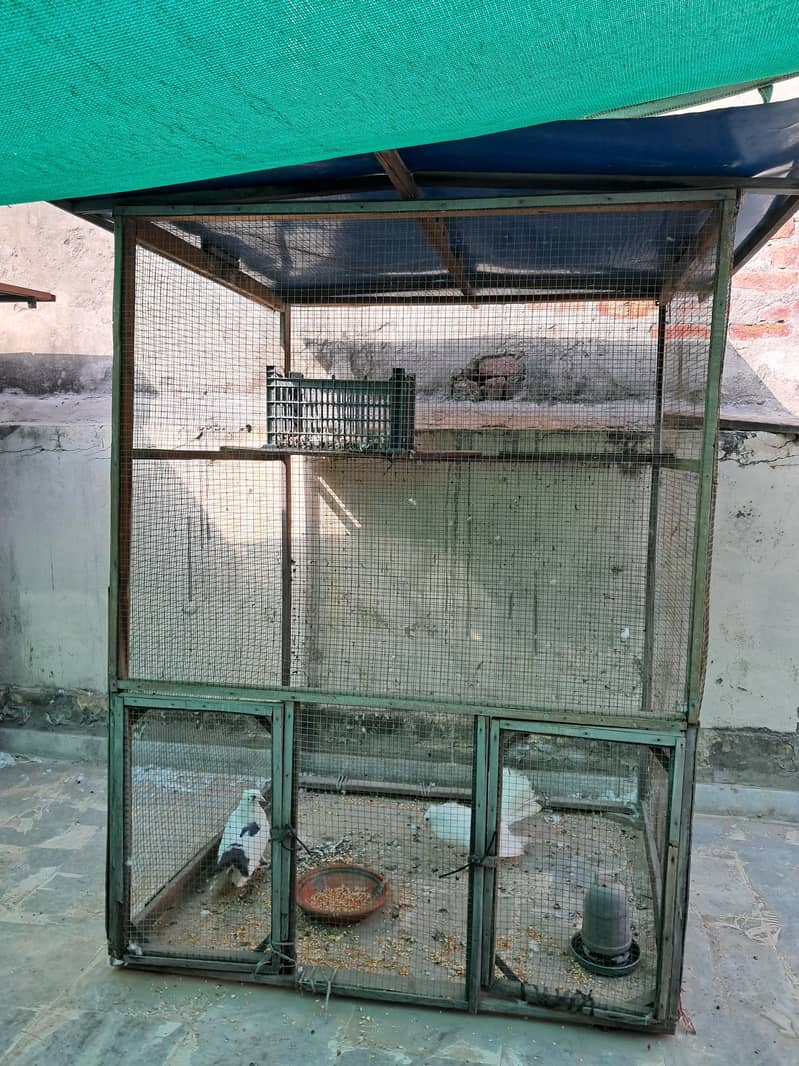 Pigeon Cages 2