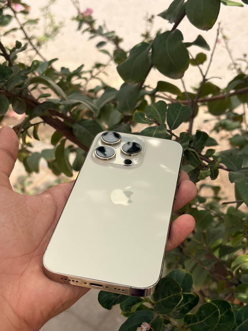 Apple iPhone 14 Pro 0