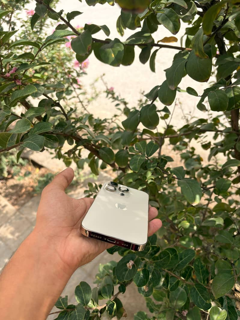 Apple iPhone 14 Pro 1