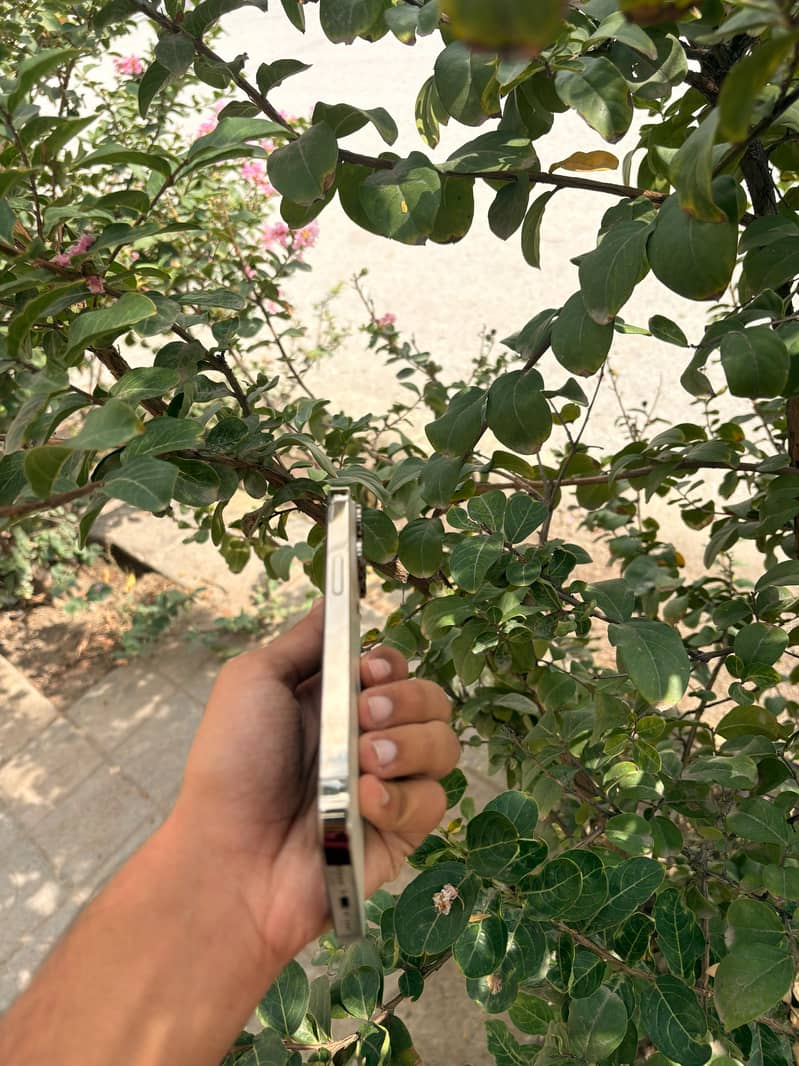 Apple iPhone 14 Pro 4