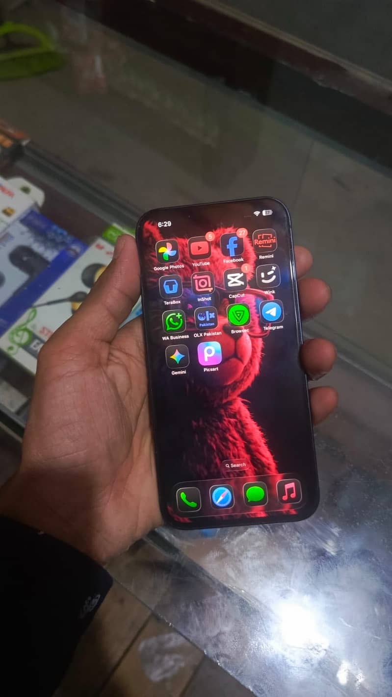 Apple iPhone 13 5