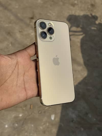 Apple iPhone 13 Pro Max