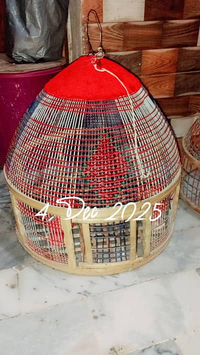 pegeion Nd cage