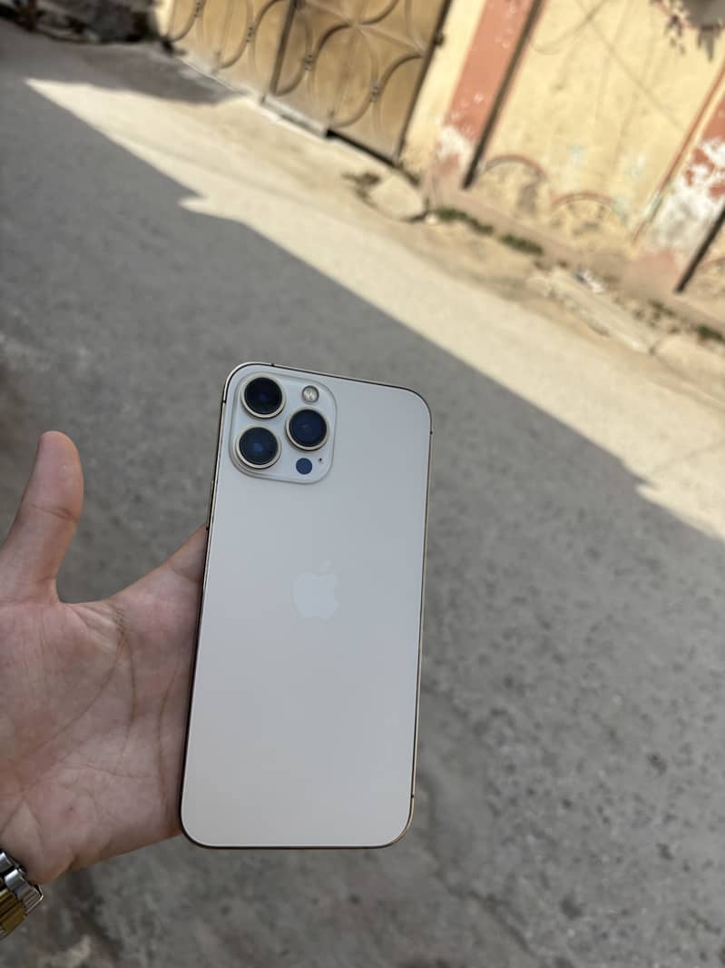 Apple iPhone 13 Pro Max 2