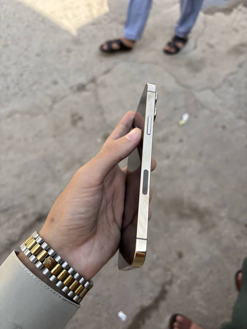 Apple iPhone 13 Pro Max 4