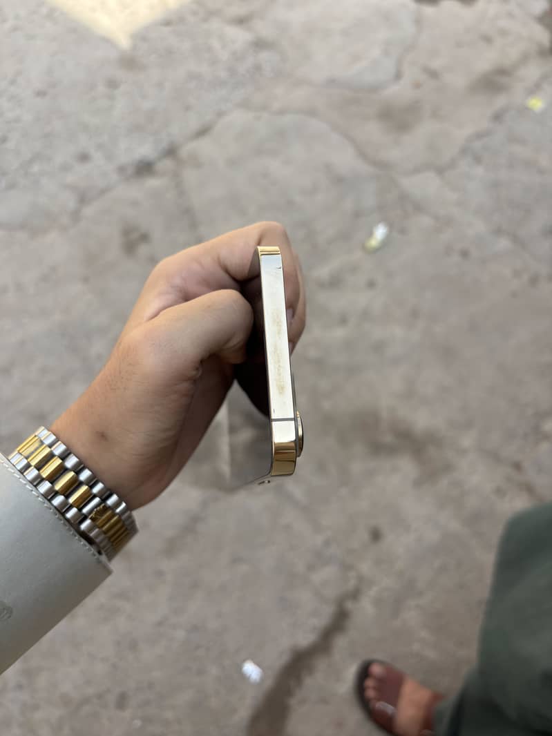 Apple iPhone 13 Pro Max 5
