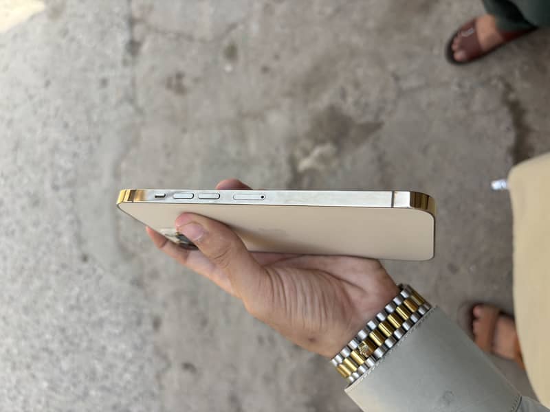Apple iPhone 13 Pro Max 6