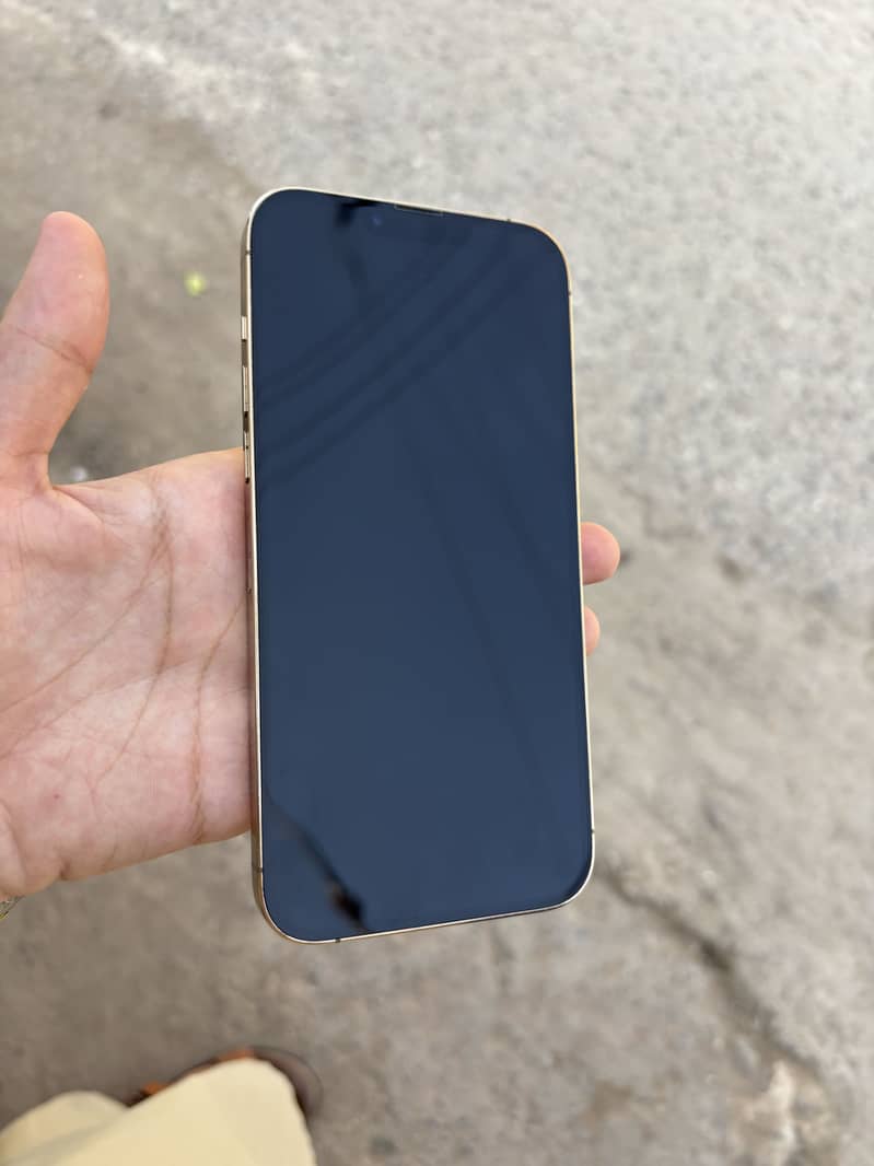 Apple iPhone 13 Pro Max 9