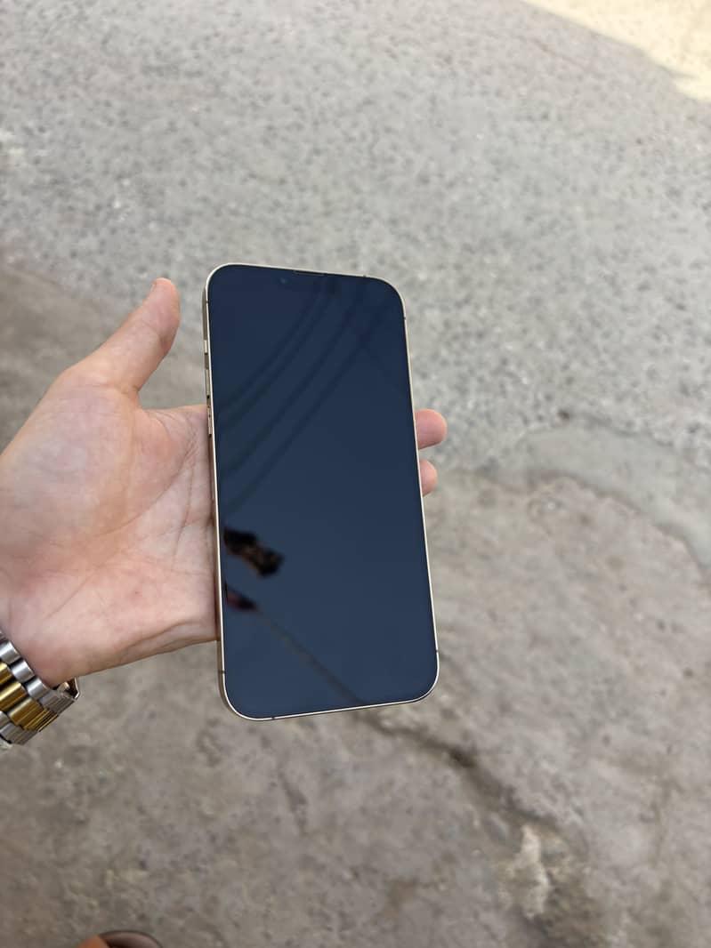 Apple iPhone 13 Pro Max 10