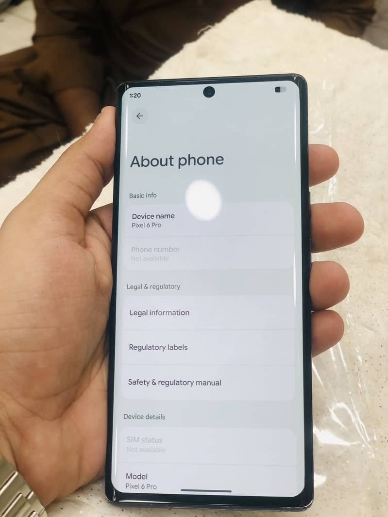 Google Pixel 6 Pro 1