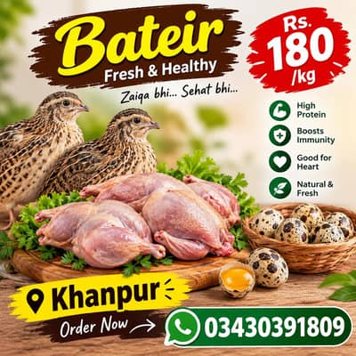 Fresh Bateir Available in Khanpur!