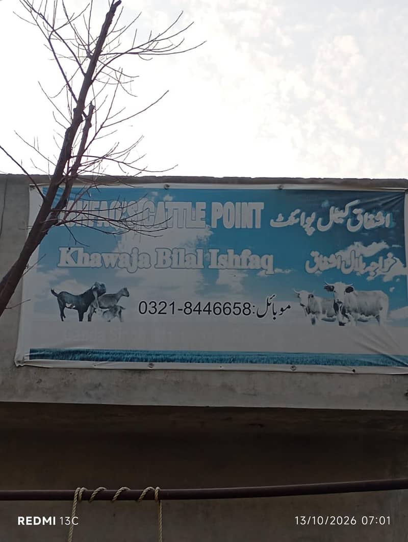 فارم ہائوس مین فیروز پور روڈ قصور نزد گنڈہ سنگھ برائے فروخت 1